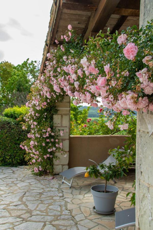 Chambres D'Hotes La Pocterie Vouneuil-sur-Vienne Экстерьер фото