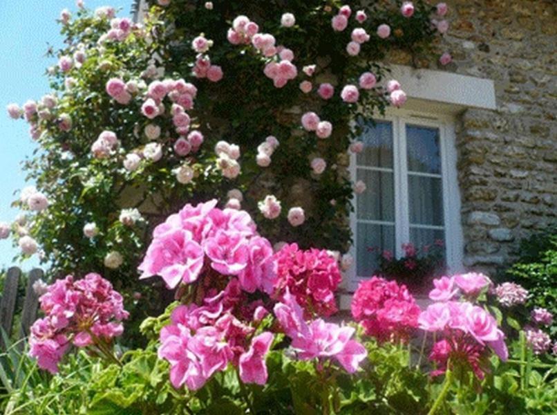 Chambres D'Hotes La Pocterie Vouneuil-sur-Vienne Экстерьер фото